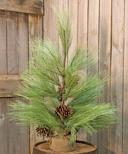 Long Needle Pine Tree 6 ft – Primitive Renditions
