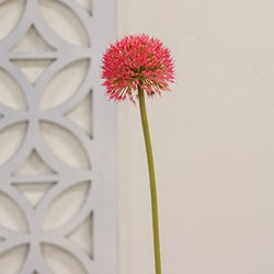 Rose Pink Allium Ball Spray - 19"