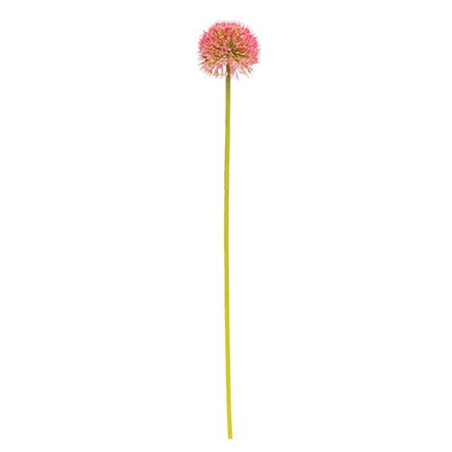 Rose Pink Allium Ball Spray - 19"