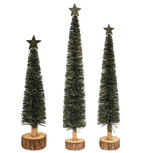 3/Set Star Topped Sage Bottle Brush Trees on Wood Bases