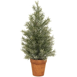 Pine Tree In Terra Cotta Pot 14" 3 Asstd.