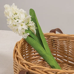 White Hyacinth Stem - 11"H