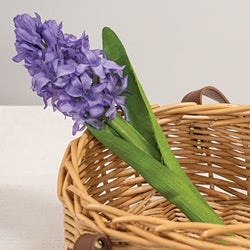 Purple Hyacinth Stem - 11"H