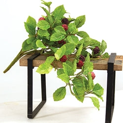 Fresh Raspberries Hanging Bush - 22"