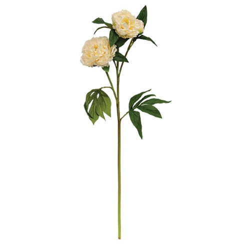 Cream Peony Spray - 30"