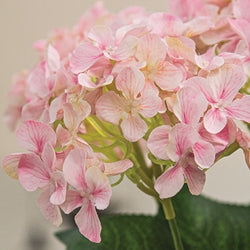 Light Pink Hydrangea Bush - 17"H