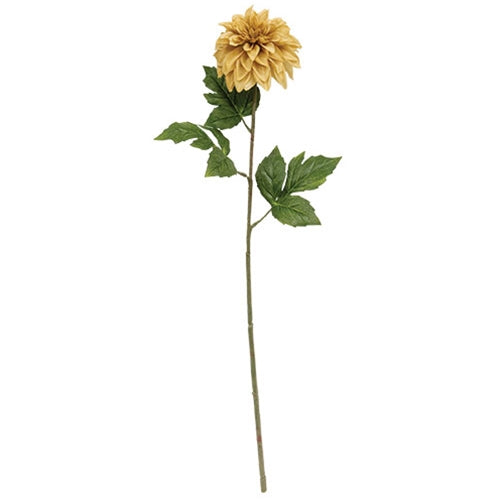 Teastain Dahlia Stem 24"