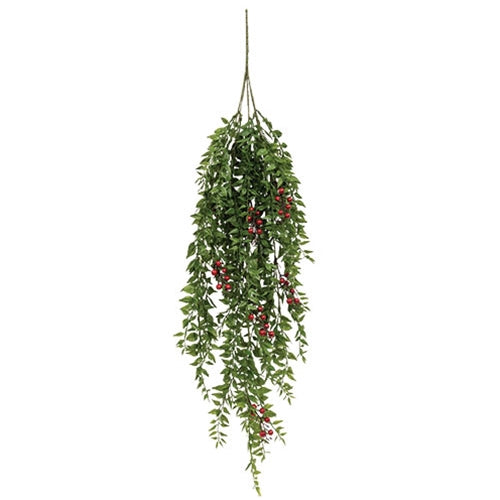 Lady Ruscus & Berries Hanging Bush 36"