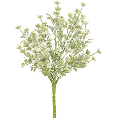 White Star Lavender Buds Bush 12"