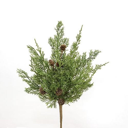 Western Cedar & Pinecone Bush 19"