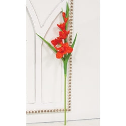 Coral Gladiolus Stem - 27"