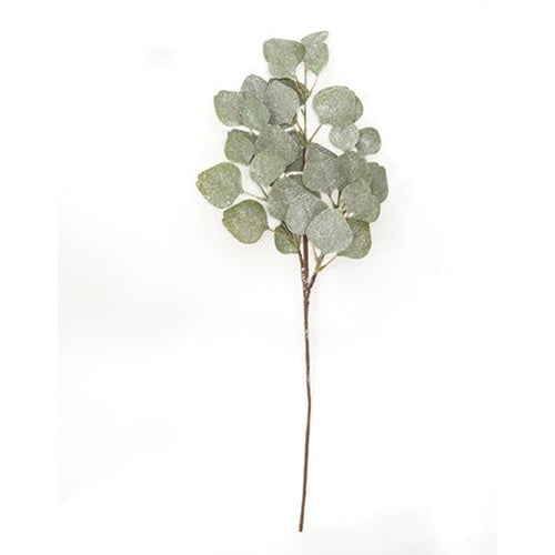 Frosted Dollar Eucalyptus Leaf Spray 29"