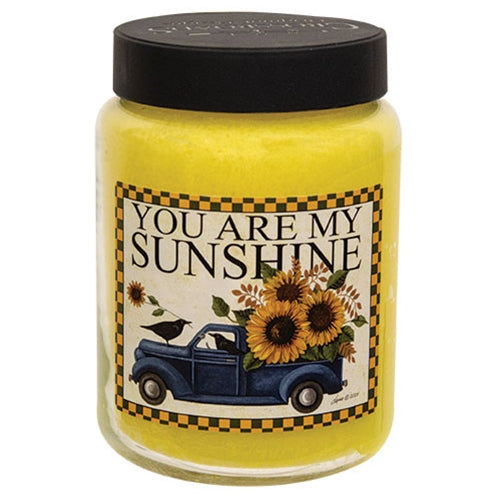 You Are My Sunshine Pineapple Paradise Jar Candle - 26oz.