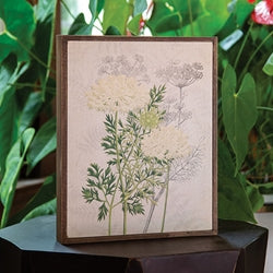 Queen Anne's Lace & Dill Botanical Box Sign