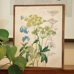 Forget-Me-Nots & Dill Botanical Box Sign