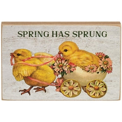 Spring Has Sprung Vintage Chick Block - 2 Asstd.