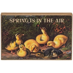 Spring Has Sprung Vintage Chick Block - 2 Asstd.