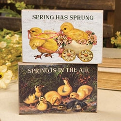 Spring Has Sprung Vintage Chick Block - 2 Asstd.