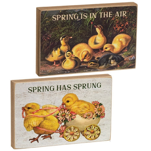 Spring Has Sprung Vintage Chick Block - 2 Asstd.