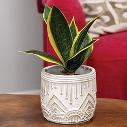 Gold Distressed White Aztec Embossed Cement Planter