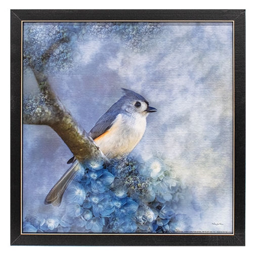 Blue Tufted Titmouse Framed Print - 12"