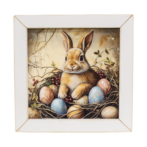 Easter Bunny In Egg Nest Framed Print - 12x12