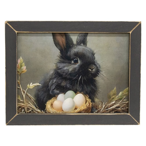 Ebony and Eggs Framed Print - 16x12