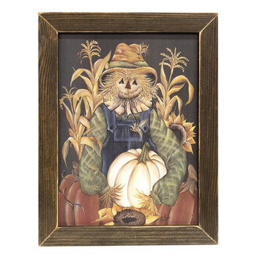 Country Scarecrow Framed Print