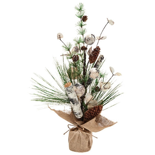 Birch Mixed Long Needle Pine Tree in Burlap Base 23"