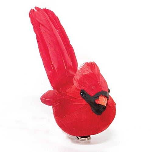 Small Feathered Cardinal Clip