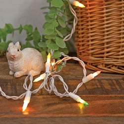 Pastel Mini Lights on White Cord 35 Ct.