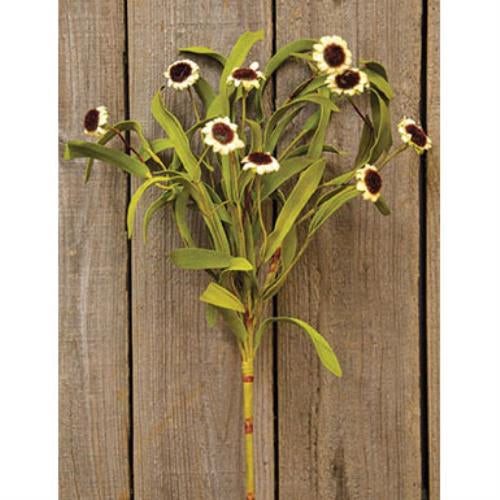 Country Mix Daisy Bush - Ivory