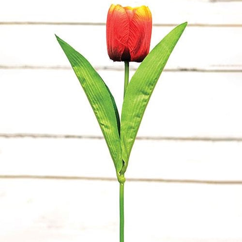 Sunset Tulip Stem 17.5"