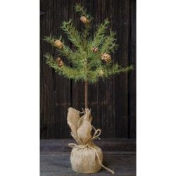 Cypress Topiary Tree 2 ft.