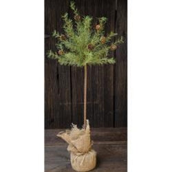 Cypress Topiary Tree 30"