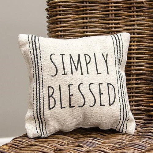 Blessed decorative outlet pillow