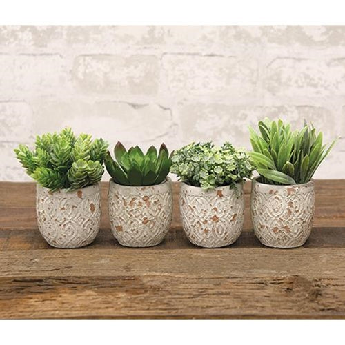 Artificial Succulent in Distressed Cement Pot 4 Asstd.