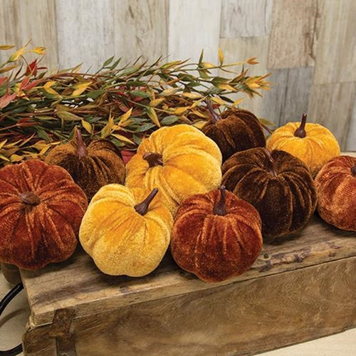 9/Bag Velvet Harvest Pumpkins