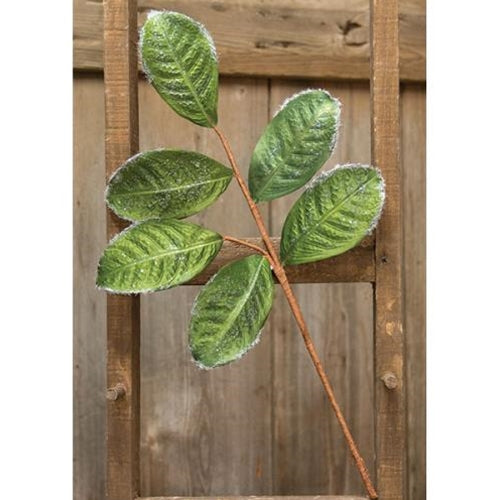 Flocked Magnolia Leaves Spray 20"