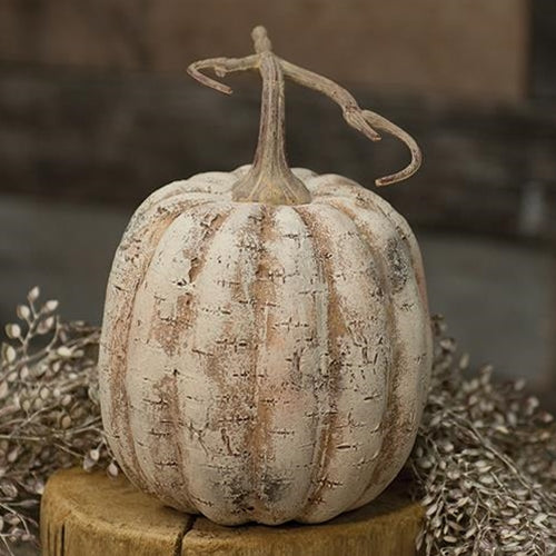 '+White Birch Pumpkin 8"